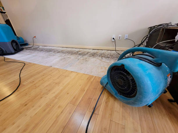 Professional Structural Drying technician working in Weehawken, NJ